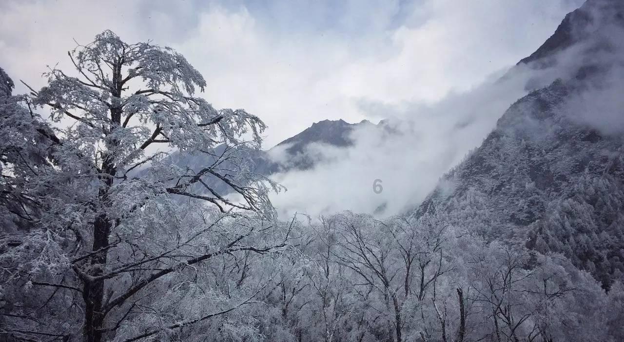 国家消防救援局关于拆除人员密集场所门窗设置影响逃生和灭火救援的障碍物的通告