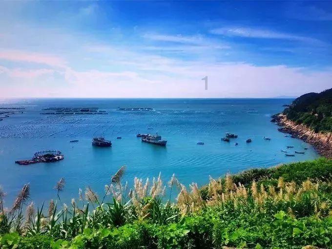 2024春节山东乡村文化旅游节丨济宁安排的新春玩法,外国友人来了也称好